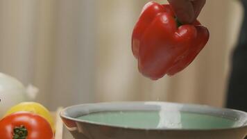 professioneel chef bereidt zich voor rood klok peper video