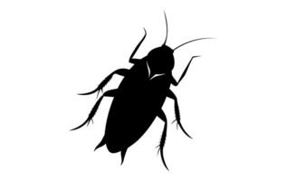 Black silhouette of a cockroach isolated on white background. illustration. Top view. Pest control and infestation concept for design, print and educational material. vector