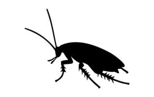 Silhouette of a cockroach on white background. Black cockroach illustration. Concept of pest control, infestation, and home hygiene. For design, print and educational material. vector