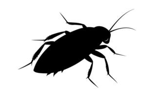 Black silhouette of a cockroach on white background. illustration. Pest control and infestation concept for design, print and educational material. vector