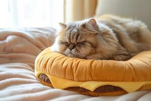 un persa mullido gato mentiras en un suave cama en el forma de un hamburguesa y duerme brillante acogedor habitación foto