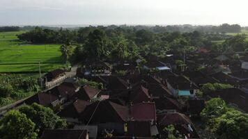 Cottage village near rice fields on the ocean video