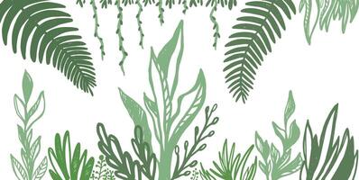 tropical horizontal frame with green leaves on white background vector