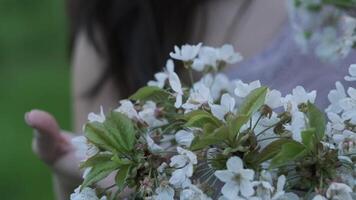 niña en un blanco vestir entre floreciente manzana arboles cerca arriba video