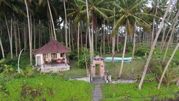bungalow en un palma arboleda por el mar en bali video