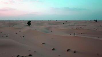 en man kör längs de sand sanddyner i de öken- på solnedgång video