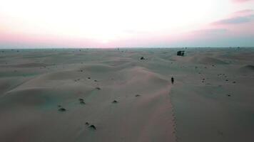 ein Mann läuft entlang das Sand Dünen im das Wüste beim Sonnenuntergang video