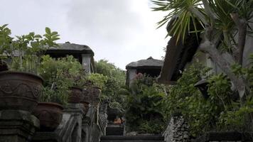 Roca escalera en un tropical cabaña pueblo video