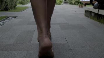 Beautiful girl by the pool. Close-up of legs video