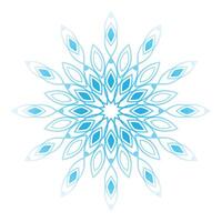 Snowflake mandala design vector