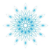 Snowflake mandala design vector