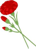 Red carnation on transparent background. illustration for decoration of postcard for May 9th vector