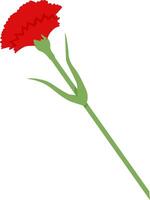 Red carnation on transparent background. illustration for decoration of postcard for May 9th vector