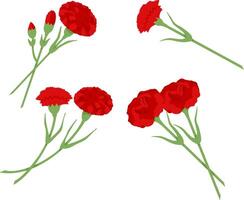 Red carnation on transparent background. Set of illustrations for design of postcard for May 9th vector