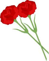 Red carnation on transparent background. illustration for decoration of postcard for May 9th vector