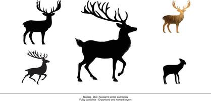 Reindeer Silhouette - Reindeer illustraion. white background vector