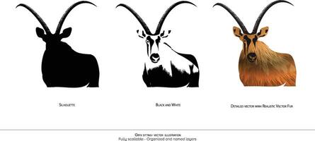 Oryx Standing Illustration. Oryx Silhouette. Black and white. Oryx detailed . realistic animal illustration - organized layers and animation ready . Realistic drawing. vector