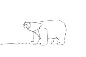 polar bear animal wildlife full body length line art vector