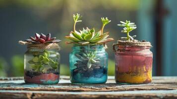 Tender plants in transparent glass pots on a wooden table photo