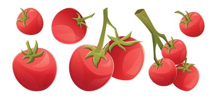 Set of Branches with ripe red cherry tomatoes. isolated cartoon illustration collection of natural organic vegetable. vector