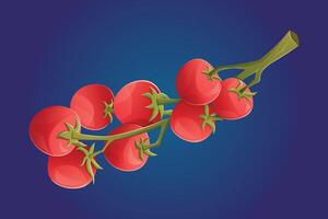 Branch with ripe red cherry tomatoes. isolated cartoon illustration of natural organic vegetable. vector