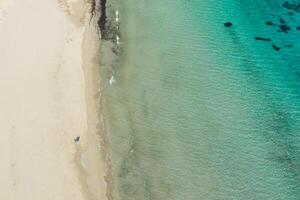 Aerial view of the famous Mellieha Bay in Malta island photo