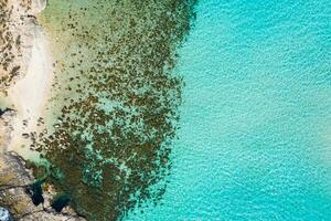 Aerial drone photo - The famous Blue Lagoon in the Mediterranean Sea. Comino Island, Malta.