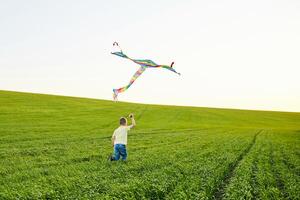 Little boy in yellow shirt running with kite in the field on summer day photo