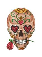 Sugar skull day of the dead design by hand watercolor painting on paper. vector