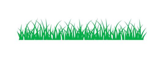 Greenery grass isolated on white background. Nature spring plant element illustration vector