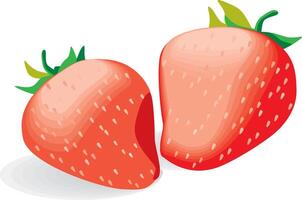 strawberry fruit orginal vector