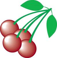 Cherries Fruit Cherries vector