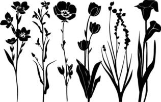 negro flor siluetas colección tulipanes vector