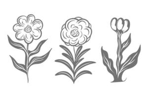 Engraving hand drawn floral set vector