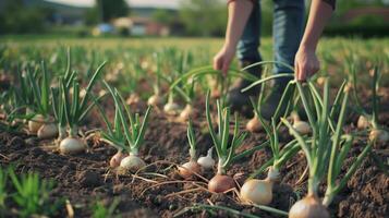 A young farmer farming onions. Field landscape from the back. Generated by artificial intelligence. photo