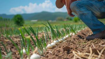 A young farmer farming onions. Field landscape from the back. Generated by artificial intelligence. photo