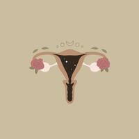 Uterus. Women health vector
