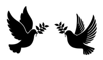 Flying dove holding an olive branch as a sign of peace. Dove with olive branch. Concept of peace. Concept of pacifism vector