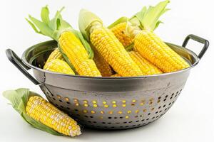 Fresh Corn on Colander Isolated on White Background photo