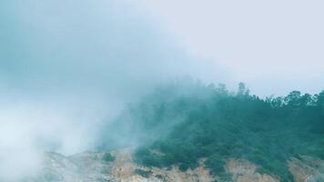 Misty forest landscape with fog over green trees, serene nature background. video