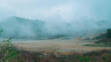 nebbioso paesaggio con nebbia al di sopra di un' asciutto alveo e un' ponte nel il sfondo, raffigurante sereno natura. video