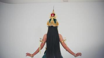 Rear view of a person in a colorful costume with a conical hat against a white background. video