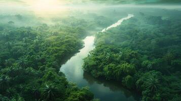 Aerial shot of the Amazon River meandering through a dense green rainforest canopy with morning fog photo