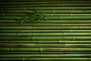 Green bamboo background texture photo