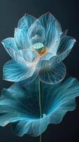 Iridescent close-up of a lotus flower on black background photo