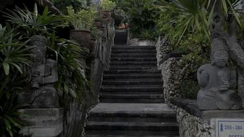 Roca escalera en un tropical cabaña pueblo video