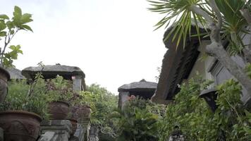 Stone staircase in a tropical cottage village video