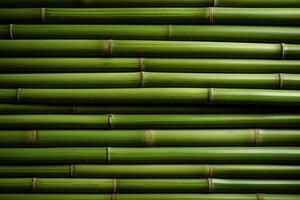 Green bamboo background texture photo