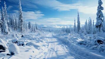 Snowy winter landscape with road trees and mountains video