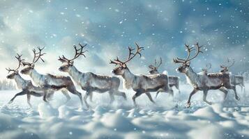 Reindeers running in snowy field under sky photo